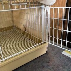 ID:163194　ペットキャリー・カバー付きの画像