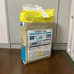 ペット用おむつ　オス用　アイリスオーヤマの画像