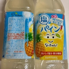 新品未開封塩パイン　なっちゃんにほん2本の画像