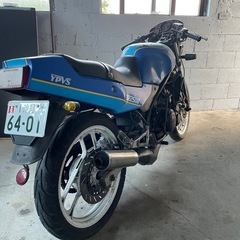 RZ250Rの画像