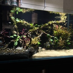 90センチ水槽&台
の画像