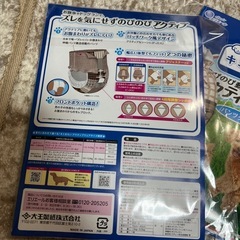 犬用　パンツ　試供品の画像