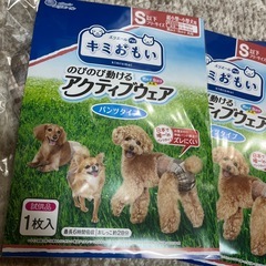 犬用　パンツ　試供品の画像