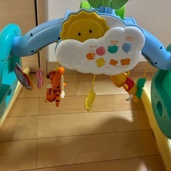 プーメリーの画像