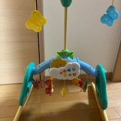 プーメリーの画像