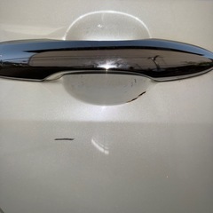 50プリウス前期の画像