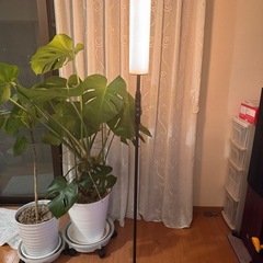 フロアスタンド　ほぼ新品の画像