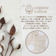 引っ掻き防止クッション Mサイズの画像