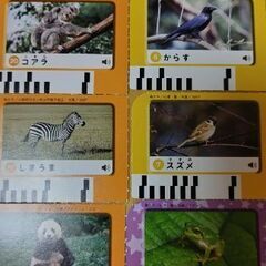 こどもチャレンジ　いきもの観察ゴー！の画像