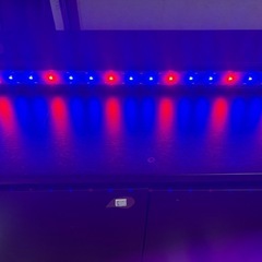 90センチ用 水槽ライト  
取引中〜 の画像