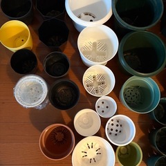 プラスチック鉢の画像
