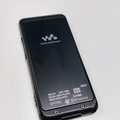 SONY ウォークマン NW-S14/Sシリーズ/8GBの画像