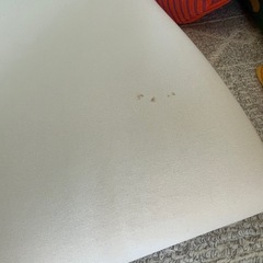 トゥルースリーパー シングルの画像