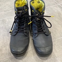 パラディウムスニーカーの画像