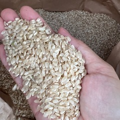 R7彩のきずな　新米　玄米　30キロ⑤の画像