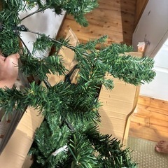 クリスマスツリーの画像