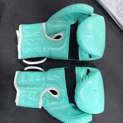 FIVING14オンスグローブの画像