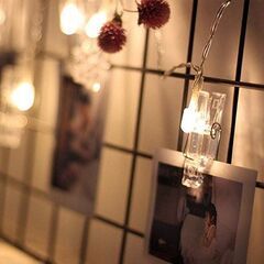 クリスマスにぴったりのクリップライト　イルミネーション　管理番号:M2019_1013_hima＿002Ｂの画像