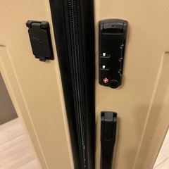 100Lスーツケースの画像