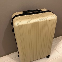 100Lスーツケースの画像