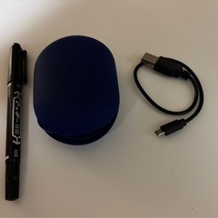 Beats Wireless Earphonesイヤホン　 ワイヤレスの画像