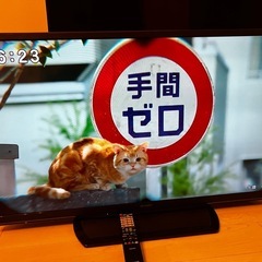 SHARP シャープ　LC-46W9  46インチ　リモコン付属　動作品の画像