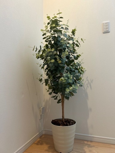 フェイクグリーン ユーカリ