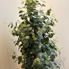 フェイクグリーン ユーカリの画像