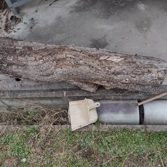 高松市 薪の材料 木 太い柿の木 雑木 乾燥済みです 薪ストーブ キャンプファイヤー  長い木 の画像