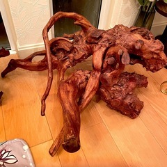 流木 2点セットの画像