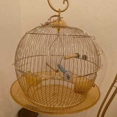 鳥かご 鳥籠 鳥篭　鳥 ケージ　高級感 ゴールドの画像
