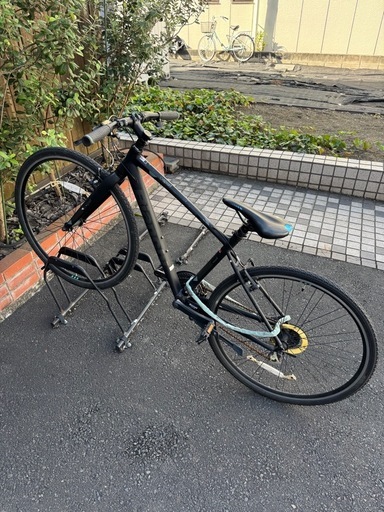 ビアンキ　c-sports 41