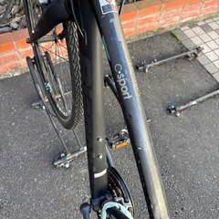 ビアンキ　c-sports 41の画像