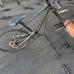 ビアンキ　c-sports 41の画像