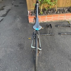 ビアンキ　c-sports 41の画像