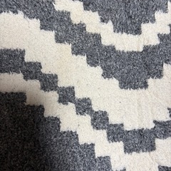 お話中　12/10まで　冬用ふわふわラグの画像