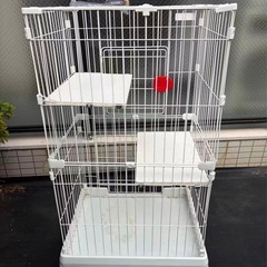 猫ゲージの画像