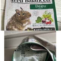 小動物　エサ　餌　リス　ハムスター　ウサギ　デグーの画像