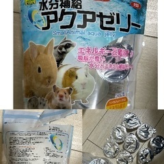 小動物　エサ　餌　リス　ハムスター　ウサギ　デグーの画像