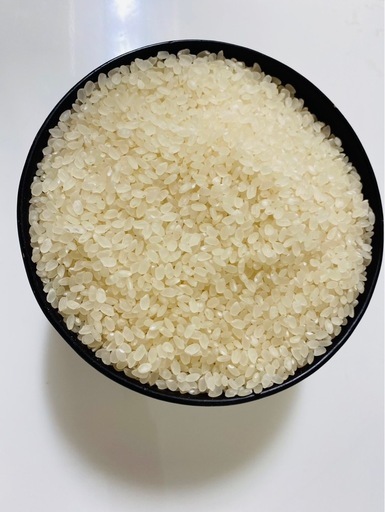 令和7年度産コシヒカリ　白米10kg