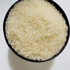 令和7年度産コシヒカリ　白米10kgの画像