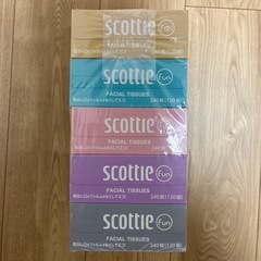 ティッシュペーパー　25箱の画像