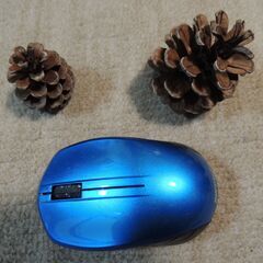 松ぼっくり　１１５個の画像