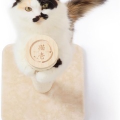 【ほぼ新品】猫壱 爪とぎ  麻の画像