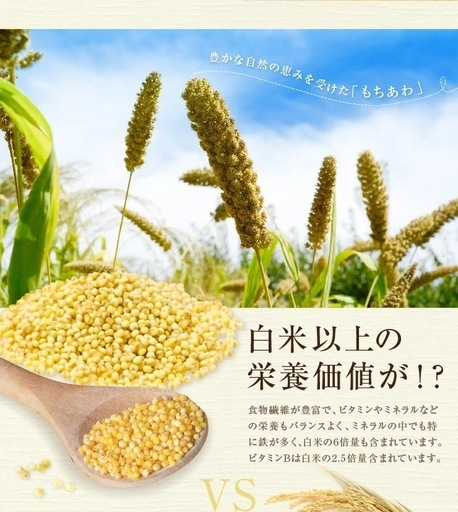 貴重な岩手産　もちあわ２０ｋｇ