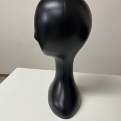 ヘッドモデルの画像