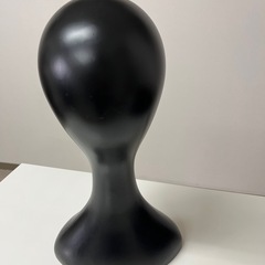 ヘッドモデルの画像