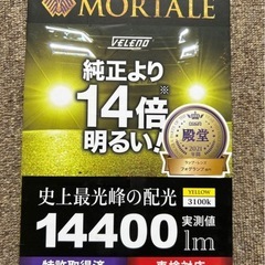 ヴェレーノフォグ