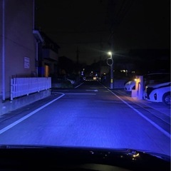 ロイヤルガード フォグの画像