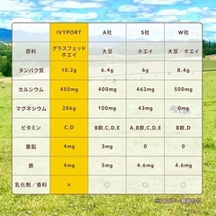 ホエイ ジュニアプロテイン ココア味 800g アイビーポート グラスフェッド 成長期のお子さん向けの画像